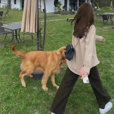 超跑玩家